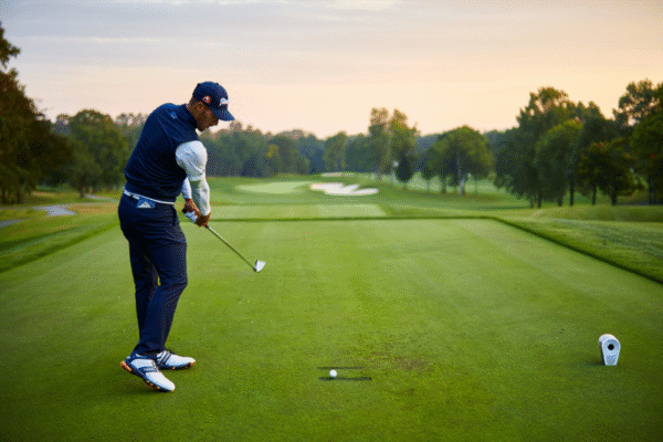 d382f336c790d956ef11db8300b99c7c